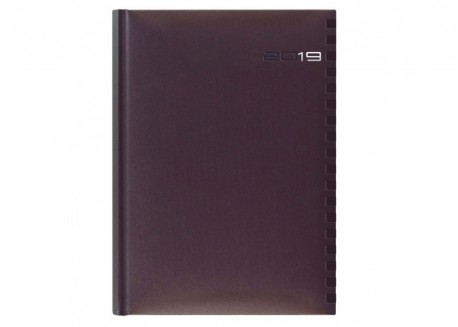 Agenda 460 ONTARIO MELANZANA, zilnica 15X21